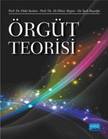 Örgüt Teorisi