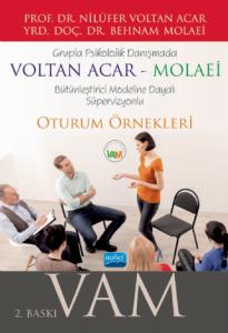 Grupla Psikolojik Danışmada VOLTAN ACAR-MOLAEİ (VAM) Bütünleştirici Modeline Dayalı Süpervizyonlu Oturum Örnekleri