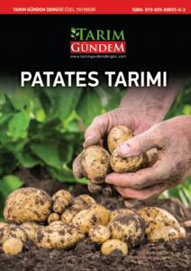 Patates Tarımı