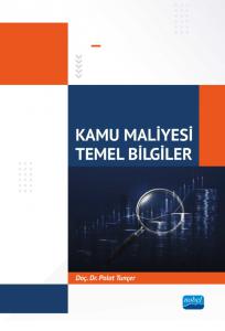 KAMU MALİYESİ - Temel Bilgiler