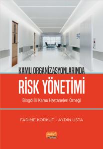 KAMU ORGANİZASYONLARINDA RİSK YÖNETİMİ - Bingöl İli Kamu Hastaneleri Örneği