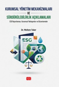 KURUMSAL YÖNETİM MEKANİZMALARI VE SÜRDÜRÜLEBİLİRLİK AÇIKLAMALARI - ESG Raporlaması, Kuramsal Yaklaşımlar ve Düzenlemeler