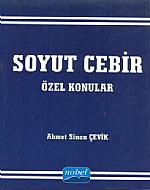 Soyut Cebir Özel konular