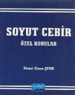 Soyut Cebir Özel konular